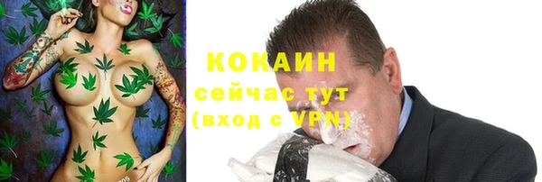 дживик Каменногорск