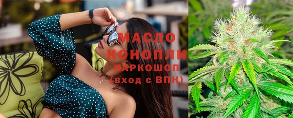 дживик Каменногорск