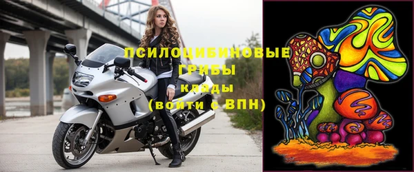 героин Каменка