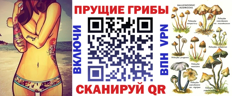Галлюциногенные грибы MAGIC MUSHROOMS  Купить закладки  Железногорск-Илимский 